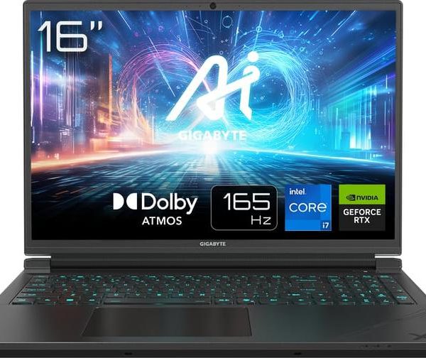 💻 Modèle : GIGABYTE G6X (2024) – série 9KG, alias “C6LG”